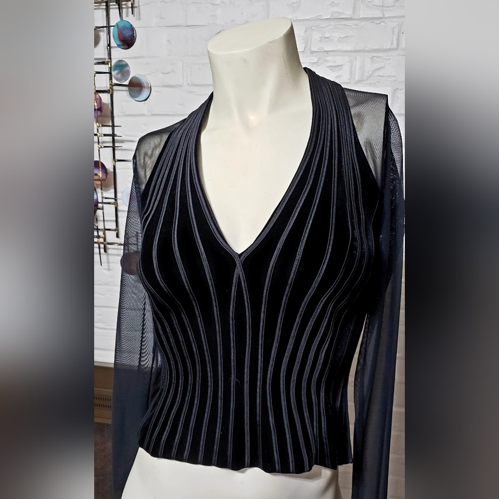 TADASHI | Velet & Sheer Evening Top